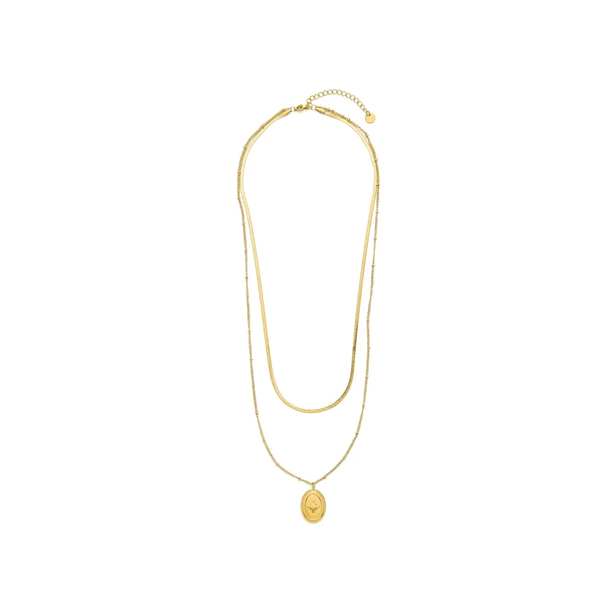 Collar de Circonita Brillante acabado en oro amarillo 18k - Laiwan