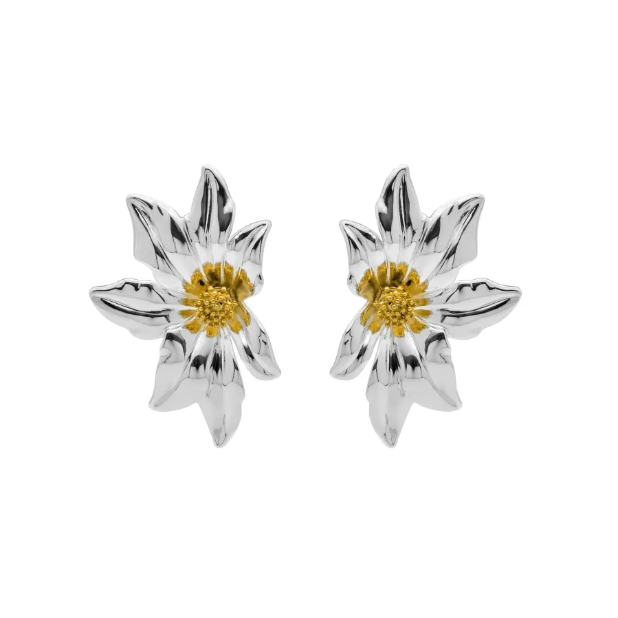 Pendientes acabado en oro amarillo 18k - Nescha