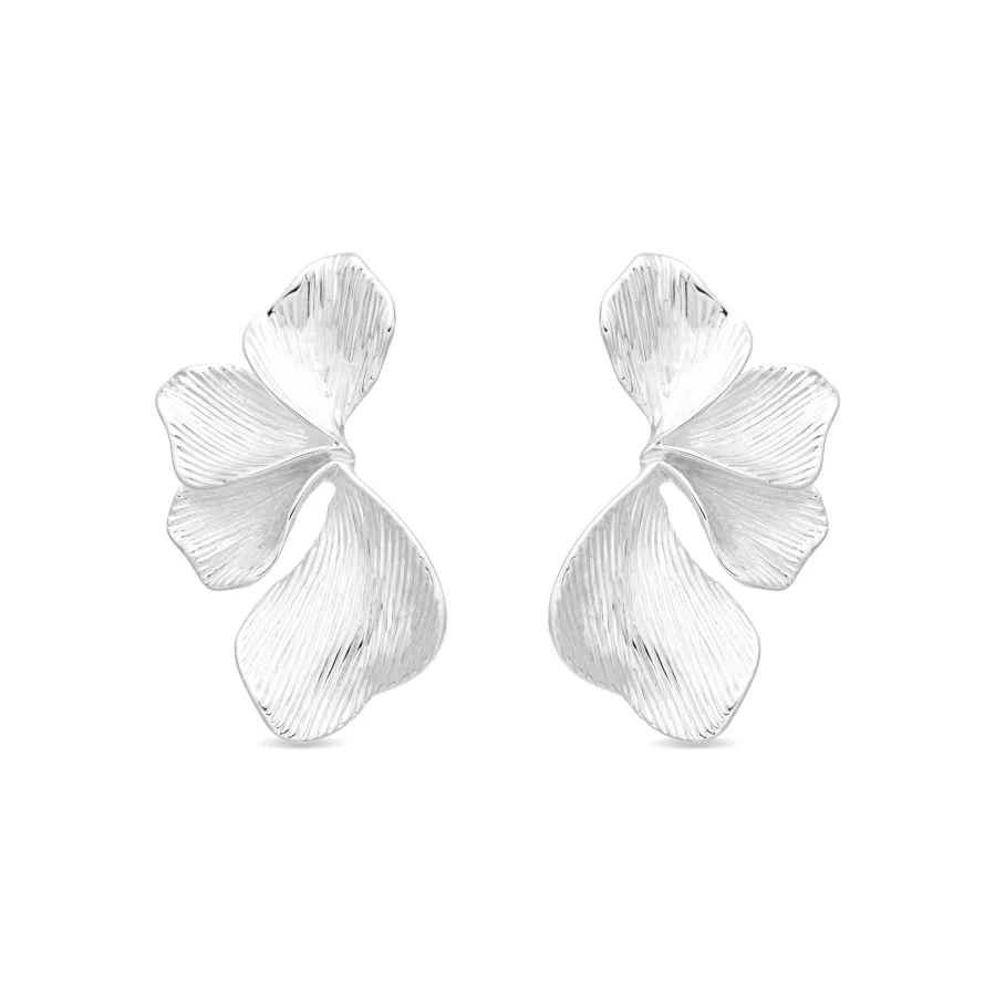 Pendientes Acabado En Plata - Leyel