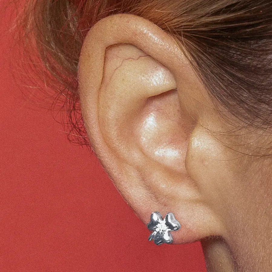 Pendientes con Circonita Brillante acabado plata - Furne