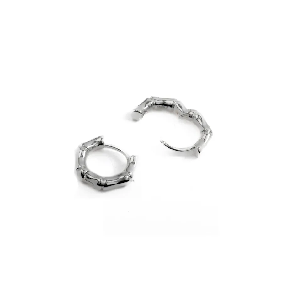 Pendientes de Circonita Brillante acabados en rodio - Layen