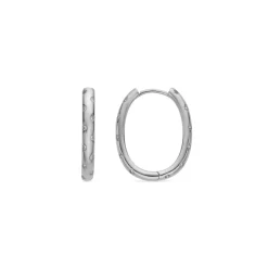 Pendientes de 15mm de diámetro con circonita acabado plata - Dinlah