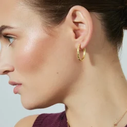 Pendientes de 18mm de diámetro con Circonita Brillante acabado oro 18k - Dinlah