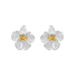Pendientes de Perla Blanca Acabado En Plata - Besion