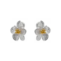 Pendientes de Perla Blanca Acabado En Plata - Besion