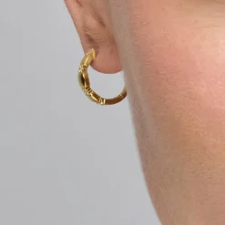 Pendientes de Plata de Ley 925 y Circonita Brillante acabado oro amarillo de 18k - Sures