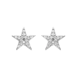 Pendientes de Plata de Ley 925 con Circonita Brillante acabados en rodio - Leilda