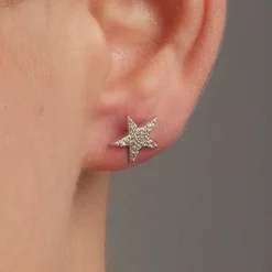 Pendientes de Plata de Ley 925 con Circonita Brillante acabados en rodio - Leilda