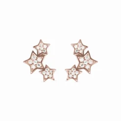 Pendientes de Plata de Ley 925 con Circonita Brillante acabados en oro rosa 18K - Familia