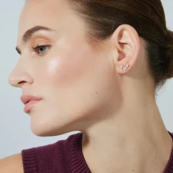 Pendientes de Plata de Ley 925 con Circonita Brillante acabados en oro rosa 18K - Familia