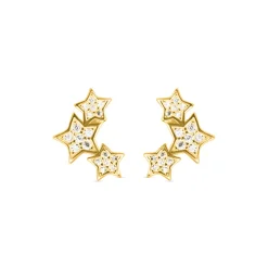 Pendientes de Plata de Ley 925 con Circonita Brillante acabados en oro amarillo 18K - Familia